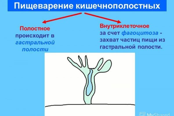 Kraken сайт даркнет