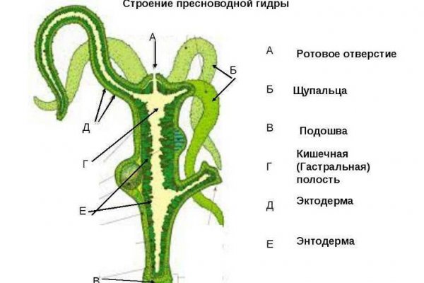 Kra9at