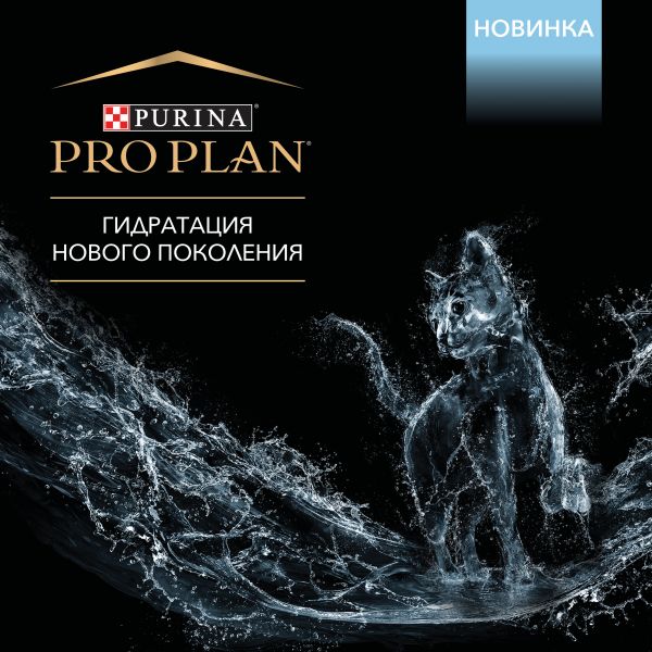 Кракен картель